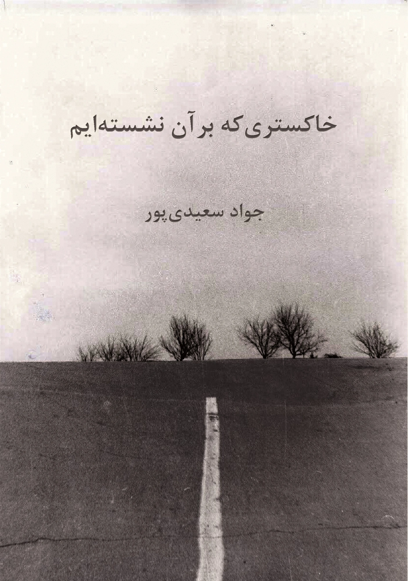 جلد خاکستری که بر آن نشستهایم